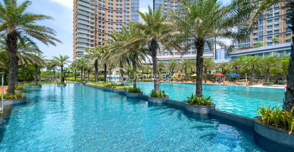 Swimming Pool - Gold Coast Apartment