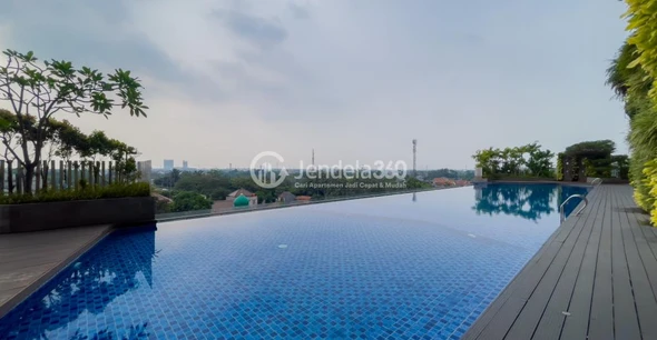 Swimming Pool - Springwood Residence
